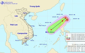 Hỏa tốc ứng phó với cơn bão Kalmaegi và gió mùa Đông Bắc