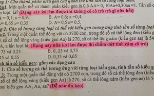 'Không làm được bài thì khỏi cô trò gì nữa' và loạt dòng chữ nhắn nhủ đầy dỗi hờn của cô giáo cho học sinh