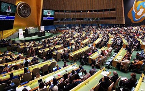 Bài phát biểu của nghị sĩ Nga tại diễn đàn Liên hợp quốc bị Ukraine ‘phá bĩnh’