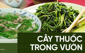 Mùa đông nhất định phải ăn cải xoong vì công dụng phòng chữa bệnh tuyệt đỉnh, phái đẹp càng không được bỏ qua