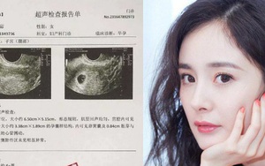 Vừa mới bị "tóm sống" cùng vào khách sạn, Dương Mịch đã bị nghi lộ tờ giấy khám mang thai với tình trẻ