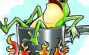 Câu chuyện 'luộc ếch' và bài học nhớ đời về sự ổn định: Đừng quên rằng, cái gì cũng có giá của nó!