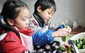 Cha mẹ Việt "người gào thét, người nuông chiều" con làm việc nhà, hãy xem các nước trên thế giới cha mẹ giao việc cho con thế nào
