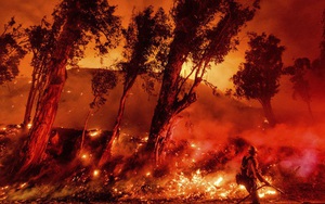 Toàn cảnh Trái đất năm 2019 thực sự "rực cháy" theo đúng nghĩa đen: Amazon cháy kỷ lục, nhưng đằng sau còn vấn đề hết sức đáng lo ngại