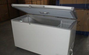 Giấu xác chồng trong tủ lạnh 10 năm và bức thư giải oan phần nào