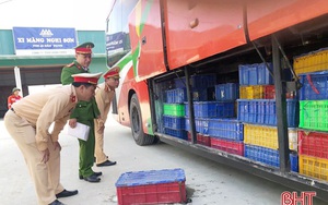 ‘Giấu’ 5 tấn động vật hoang dã trong gầm xe khách