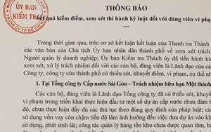 TP HCM kỷ luật nhiều cán bộ lãnh đạo các công ty, tổng công ty