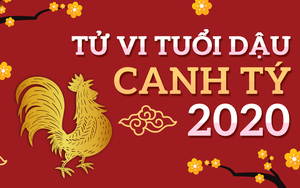 Vận mệnh của người tuổi Dậu trong năm Canh Tý 2020: Sự nghiệp không thuận lợi, cần phòng tiểu nhân