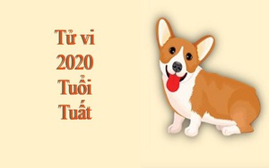 Tử vi tuổi Tuất năm Canh Tý 2020: Có 4 tháng tài lộc suy giảm, sự nghiệp ảm đạm