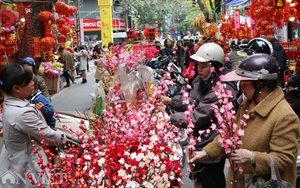Chợ hoa lâu đời nhất Hà Nội nhộn nhịp cảnh mua sắm ngày cận Tết