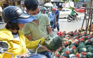 Anh thợ điêu khắc gỗ kiếm hàng triệu đồng mỗi ngày nhờ khắc dưa hấu bán dịp Tết ở Sài Gòn
