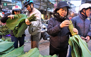 Các chủ hàng "bỏ túi" tiền triệu nhờ bán lá dong phục vụ người gói bánh chưng muộn