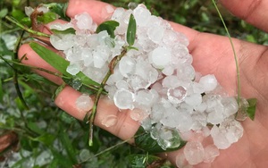 Mưa đá rơi trắng sân tại Hà Nội và một số tỉnh thành chiều mùng 1 Tết
