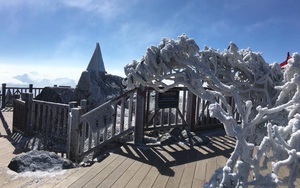 Băng tuyết phủ trắng đỉnh Fansipan đầu năm mới
