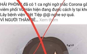 Công an Quảng Ninh, Hải Phòng truy tìm kẻ tung tin nhiều người nhiễm bệnh do virus corona