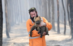 24h qua ảnh: Lính cứu hỏa giải cứu gấu túi khỏi đám cháy rừng ở Australia