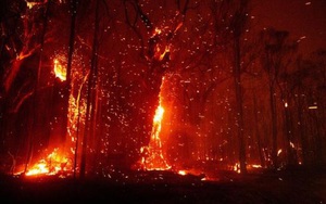 Nguy cơ cháy rừng dữ dội trở lại, Australia ban hành cảnh báo và thông báo sơ tán mới