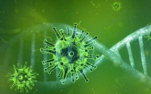 Brazil phát hiện virus mới bí ẩn với loại gen chưa từng được ghi nhận