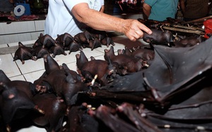 24h qua ảnh: Thịt dơi được bán la liệt tại chợ nổi tiếng Indonesia