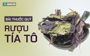 [Bài thuốc quý] Rượu tía tô: "Bảo bối" dành cho người có bệnh hô hấp, cảm lạnh, ho