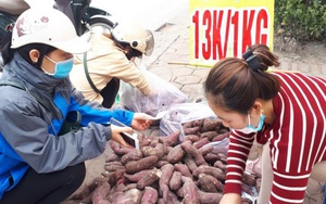 Khoai lang Nhật "giải cứu" đầy vỉa hè Hà Nội, thương nhân bán giá 13.000 đồng/kg