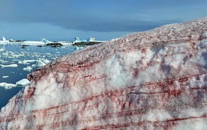 Tuyết máu kỳ lạ xuất hiện ở Nam Cực