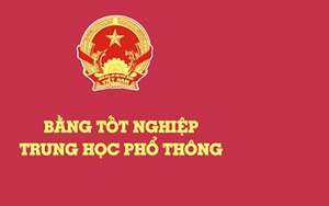 Cách chức, buộc thôi việc nữ hiệu trưởng trường mầm non vì sử dụng bằng cấp 3 giả