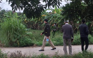 Ninh Bình: Phát hiện thi thể nam giới đang phân hủy trong vườn chuối