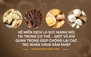 Bác sĩ BV Đại học Y Dược: 4 dược liệu dễ kiếm lại là "vũ khí" chống lại virus hiệu quả