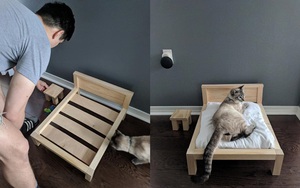 Thấy mèo hay ngủ ké người yêu, chàng trai có hành động bất ngờ và câu chốt khiến cô gái bật cười