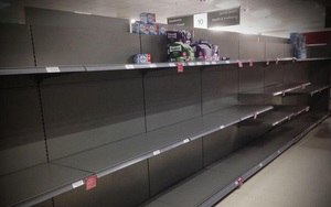 Covid-19: Bị cướp giấy vệ sinh ở Anh, khóc ròng vì ôm 17.700 chai thuốc khử trùng ở Mỹ
