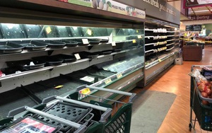 Mỹ: Nữ khách hàng bí ẩn ho vào nhiều mặt hàng, siêu thị phải hủy bỏ số thực phẩm trị giá 35.000 USD