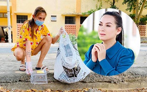 Phi Nhung lo lắng vì 2 tháng không gặp con, Võ Hoàng Yến đi nhặt rác trong khu cách ly