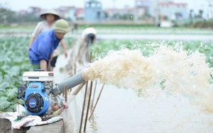 [Ảnh] Máy bơm hoạt động hết công suất cứu hàng chục mẫu rau chìm trong biển nước sau cơn mưa lớn ở Hà Nội
