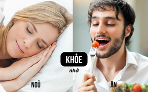 Bí mật từ lời khuyên dưỡng sinh nổi tiếng: Nam muốn khỏe thì ăn, nữ muốn khỏe thì ngủ
