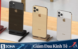 iPhone cũ đồng loạt xuống giá thấp, khách hàng vẫn làm ngơ