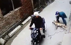 Triệu tập 2 tên trộm chó nghi giết người dân truy đuổi ở Ninh Bình