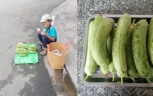 Thấy cậu bé bán mướp đang đếm tiền, người phụ nữ có hành động đặc biệt được dân tình ủng hộ