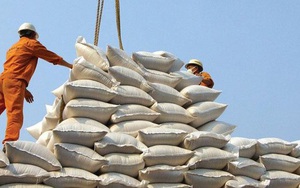 Cần cấm xuất khẩu đối với doanh nghiệp "xù" hợp đồng cấp gạo dự trữ quốc gia