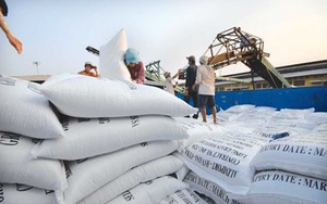 Thủ tướng yêu cầu Thanh tra Chính phủ thanh tra đột xuất việc xuất khẩu gạo