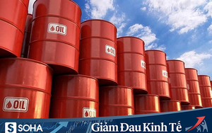 Chuyên gia Ngô Trí Long: "Giá dầu lao dốc trong bối cảnh hiện tại không phải là cơ hội"