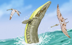 Giải mã quái vật hành tinh: "Chúa tể biển cả kỷ Jura" này là kẻ quái dị, có đặc điểm giống 3 loài
