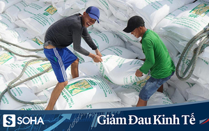 Thủ tướng: Xuất khẩu gạo phải thận trọng, tuyệt đối không để trong nước thiếu gạo