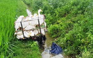 Phát hiện người đàn ông nằm chết dưới mương, cạnh chiếc xe máy chở đầy vịt