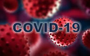 Covid-19: Thế giới có nơi báo cáo 245 người chết nhưng chỉ số 'tử vong quá mức' tới 10200!