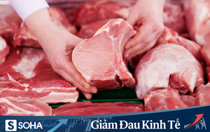 Giá lợn "trên tivi", có hay không hành vi bắt tay cùng hưởng lợi khi thịt lợn tăng giá?