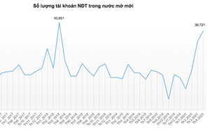 Tài khoản nhà đầu tư trong nước mở mới ghi nhận mức cao kỷ lục trong tháng VN-Index phục hồi mạnh từ đáy