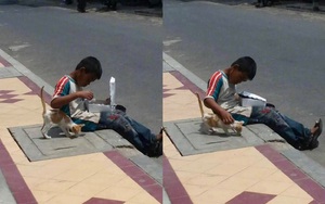 Cậu bé nhem nhuốc bốc ăn trên hè phố, hành động với chú mèo lạ khiến bao người xúc động