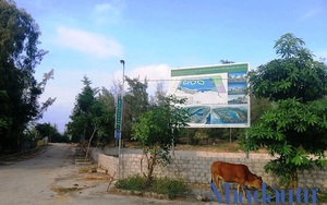 Dự án nghìn tỷ kín tiếng ở Hà Tĩnh của 'bà chủ' Vietlott Nghệ An