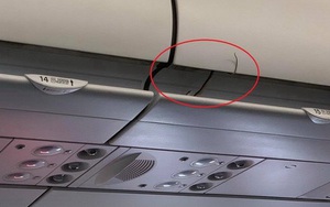 Rắn xuất hiện trên khoang hành lý khi máy bay đang ra đường băng chuẩn bị cất cánh